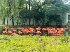 -石家庄市动物园