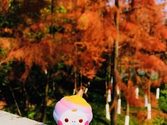 -重庆彩云湖湿地公园