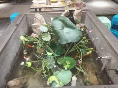 -灶东家民间菜(回兴店)