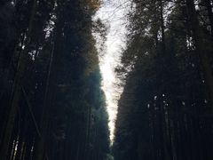 -山王坪喀斯特国家生态公园