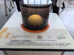 -中国杭州低碳科技馆