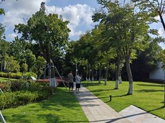 -成飞公园