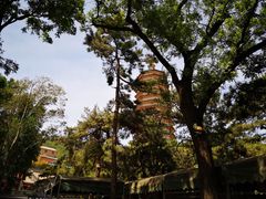 -八大处公园