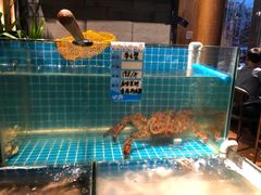 -烧货·活海鲜炭烧(湖滨商业街店)