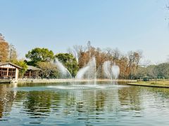 -上海共青森林公园