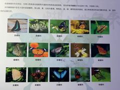 -中国湿地博物馆