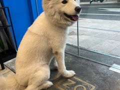 -OZ cafe(南昌路店)