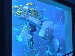 -太平洋海底世界