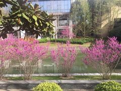 -逸林轩中餐厅(中信泰富朱家角锦江酒店)