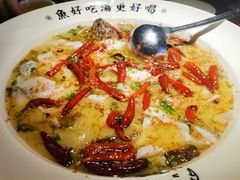 老坛酸菜鲈鱼-江渔儿酸菜鱼(常平翔龙天地店)