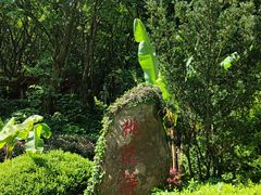 -桃花岛风景旅游区