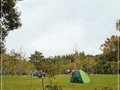 -上海滨江森林公园