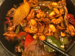 玲珑牛蛙煲-玲珑餐厅(陕西南路店)