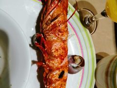 -开海·红岛海鲜虾水饺(石老人店)