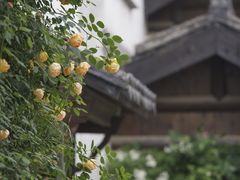 -惠山古镇·寄畅园