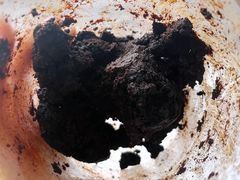 -大连熟食品交易中心