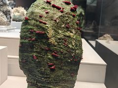 -湖南省地质博物馆