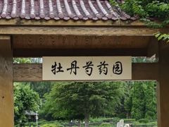 -黑龙江省森林植物园