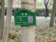 -洛阳市隋唐城遗址植物园