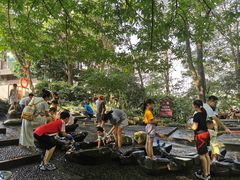 -成都市活水公园