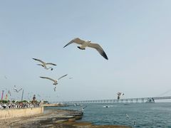-星海广场
