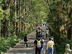 -同里国家湿地公园