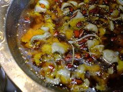 -雲蜀龙阁·金牌水煮鱼(方庄店)