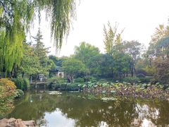 -秋霞圃