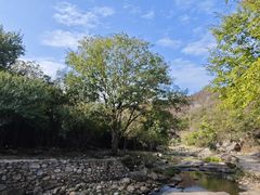 -武汉姚家山旅游景区