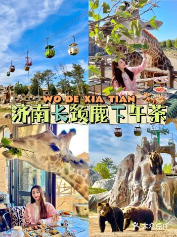 济南旅游|长颈鹿下午茶也太好拍了～