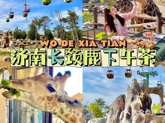 济南旅游|长颈鹿下午茶也太好拍了～