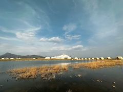 -敕勒川草原