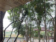 -陶缘一号·四季缘·老字号顺德菜·户外婚礼家宴(西滘店)