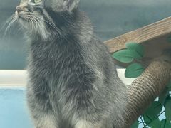 -青藏高原野生动物园