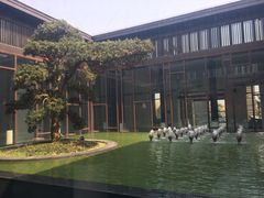 -上海崇明金茂凯悦酒店