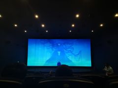 -SFC上影影城(成都科华IMAX店)
