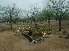 -西安秦岭野生动物园