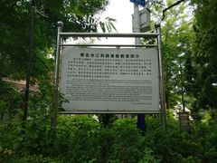 -青岛市江苏路基督教堂