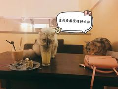 -猫友咖啡店(玉林西路店)