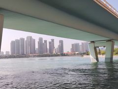 -五缘湾湿地公园