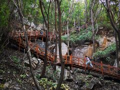 -大岭沟猕猴桃谷风景区