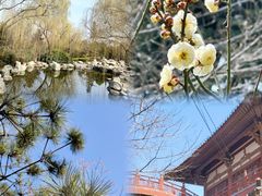 -西安青龙寺遗址景区