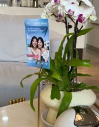 -上海首尔丽格医疗美容医院