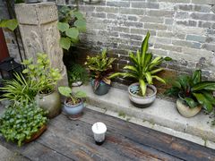 -LOOKA COFFEE(大鹏所城店)