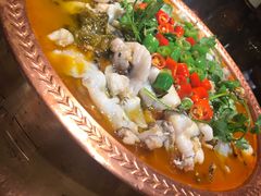 -沪小二炭火蛙锅(淮海中路美食不夜城店)