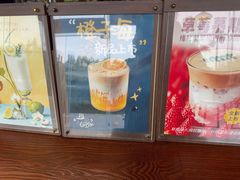 -武汉知音号