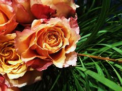 -BEAST野兽派(上海浦东嘉里城店)