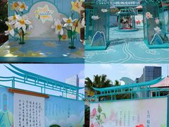 -海合安成都极地海洋公园