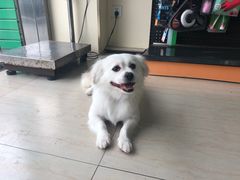 -佳雯宠物医院(四明中路分院)