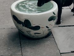 -长春观